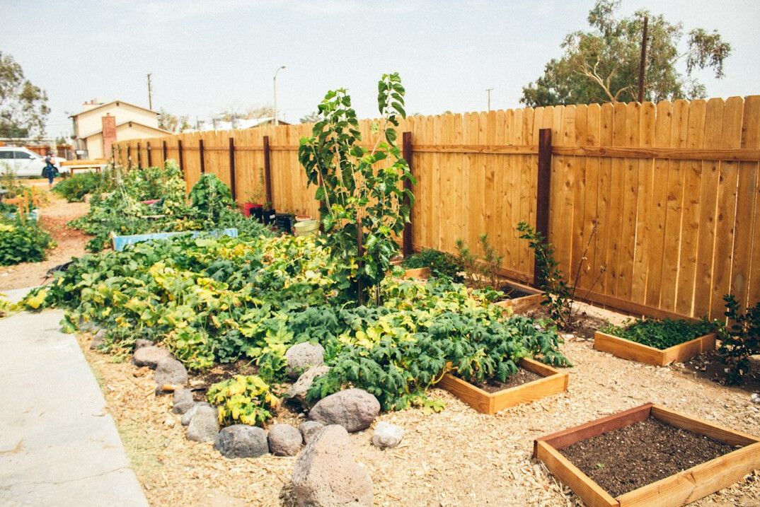 community garden project